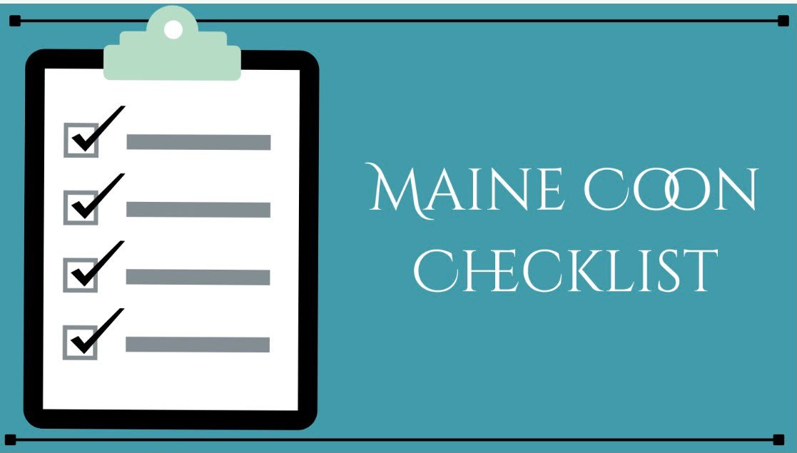 New Maine Coon Kitten Checklist