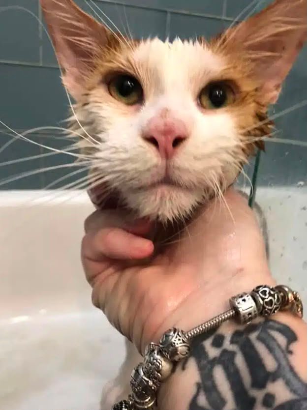 Bath time